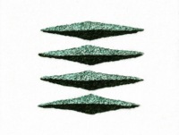 Atrium Gallery: Lore Bert. Reflection/Inspiration